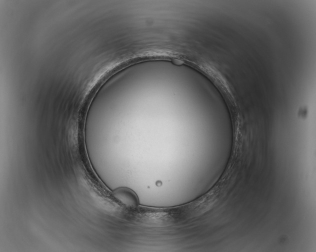 X0000116100108200912071309