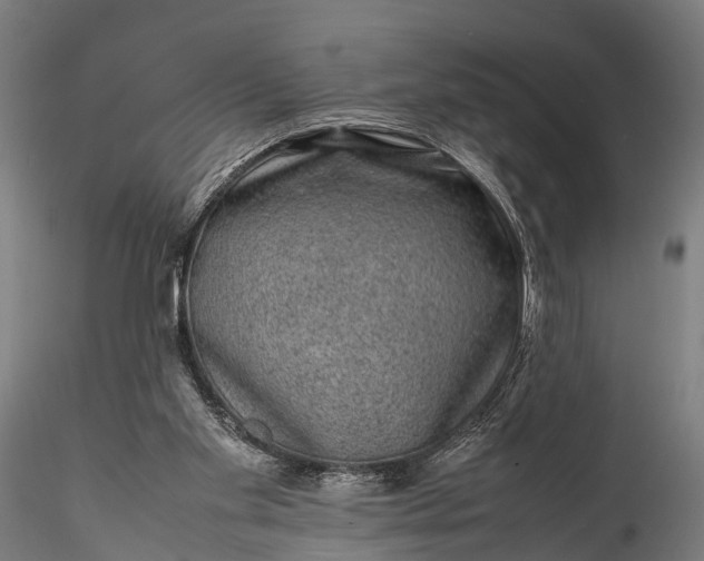 X0000116100109200912071309