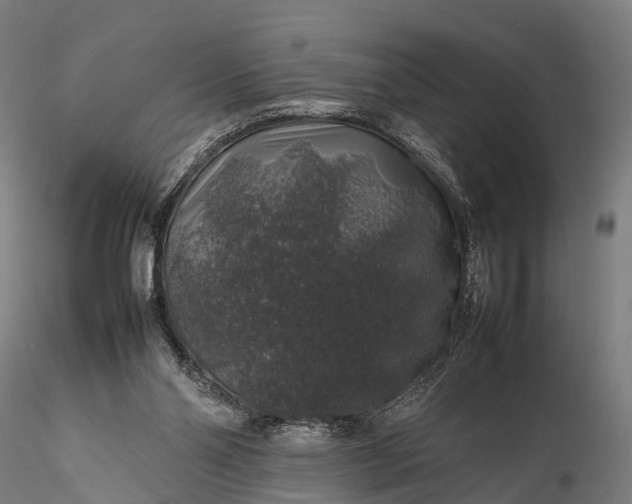 X0000116100110200912071309