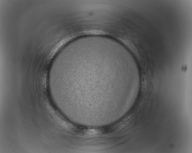 X0000116100111200912071309