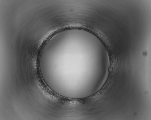 X0000116100112200912071309