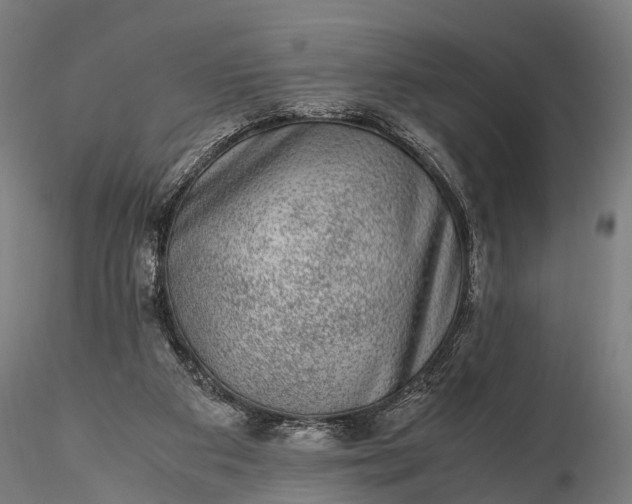 X0000116100113200912071309