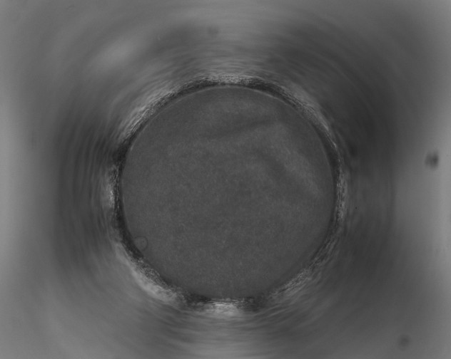 X0000116100114200912071309