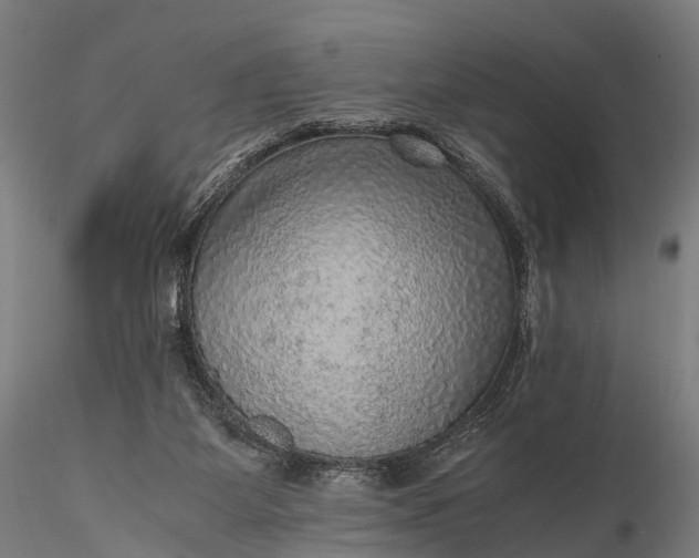 X0000116100115200912071309