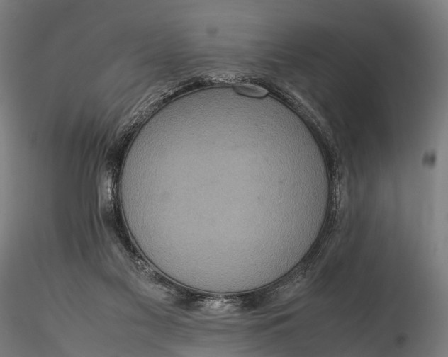 X0000116100117200912071309