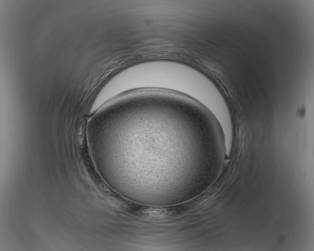 X0000116100121200912071309