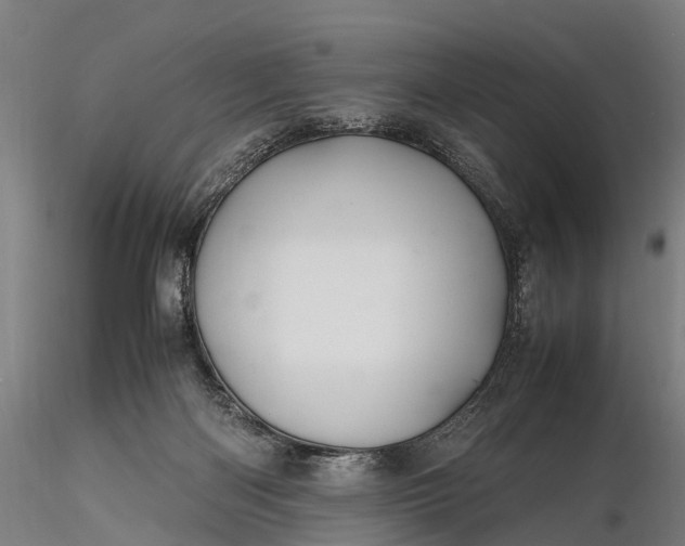 X0000116100122200912071309