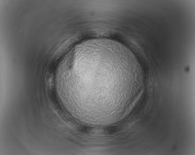 X0000116100123200912071309