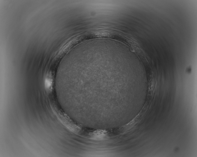 X0000116100124200912071309