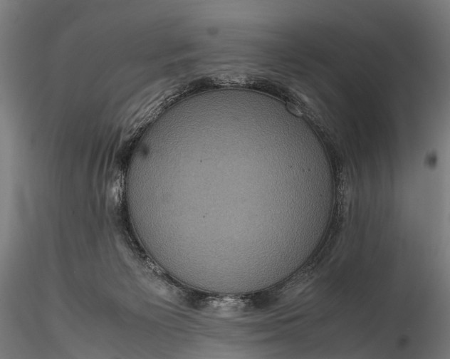 X0000116100125200912071309