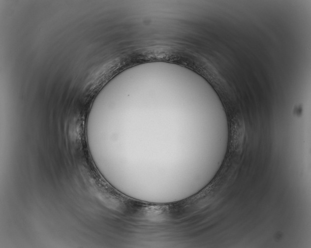 X0000116100126200912071309