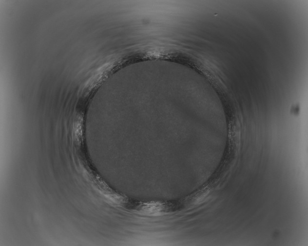 X0000116100127200912071309