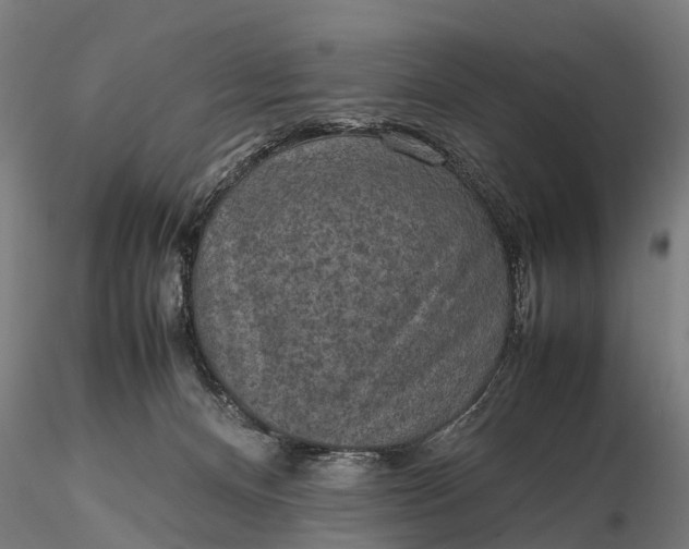 X0000116100128200912071309