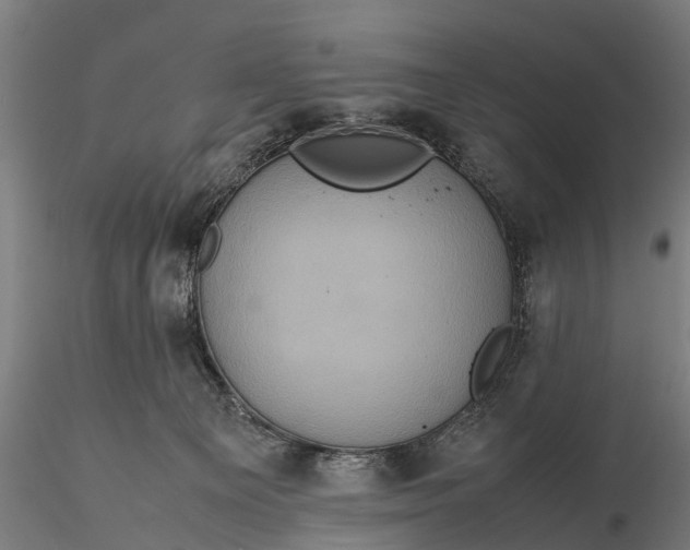 X0000116100129200912071309