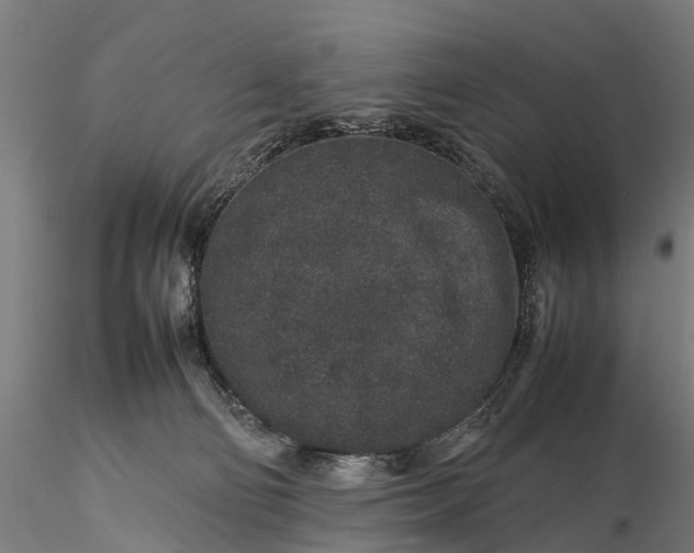 X0000116100130200912071309