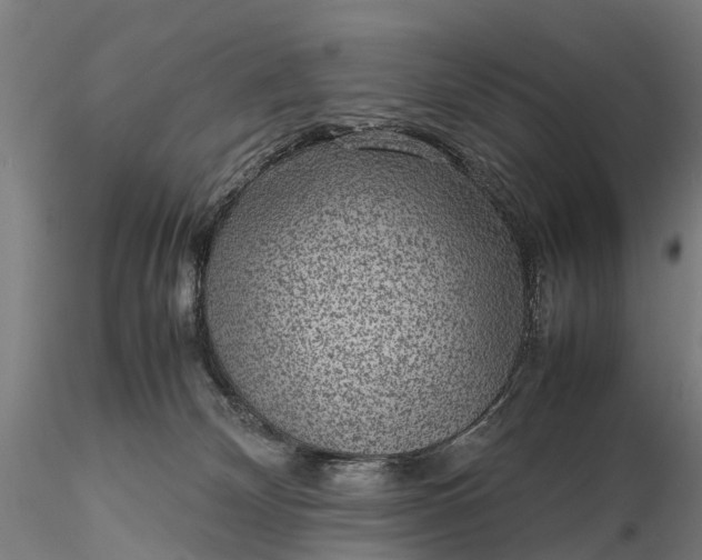 X0000116100132200912071309