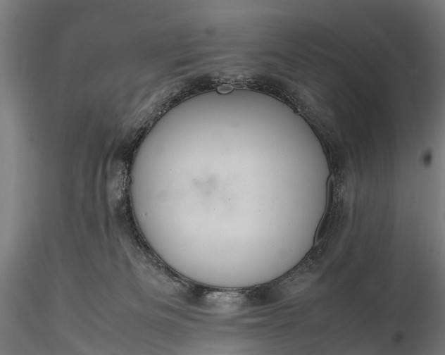 X0000116100133200912071308