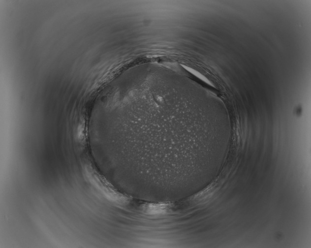 X0000116100134200912071308