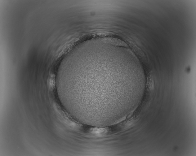 X0000116100135200912071308