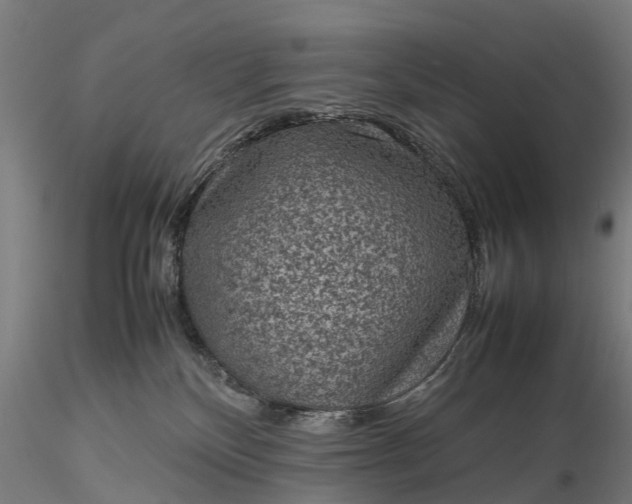 X0000116100136200912071308