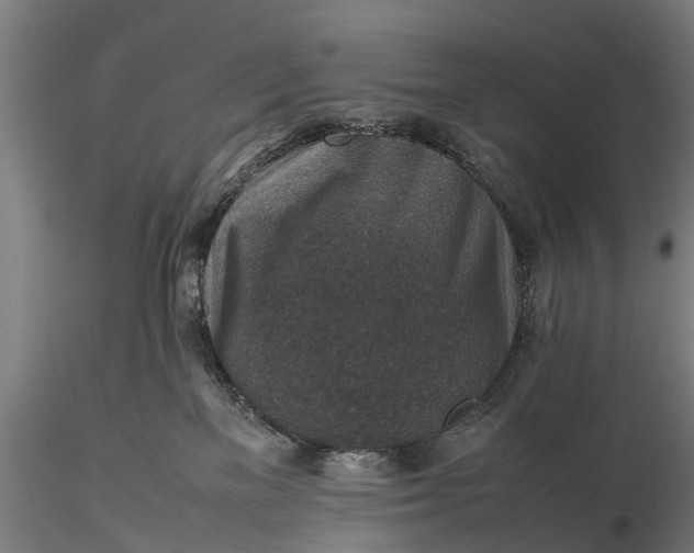 X0000116100137200912071308