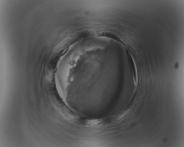 X0000116100139200912071308