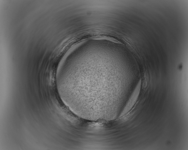 X0000116100140200912071308