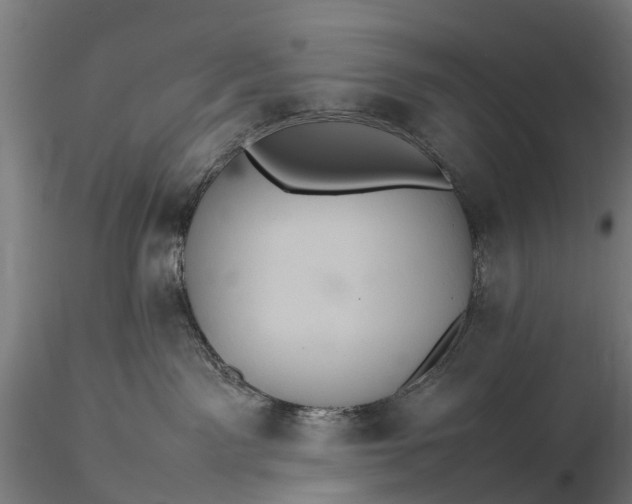 X0000116100141200912071308