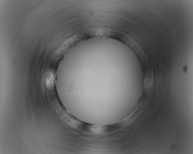 X0000116100142200912071308