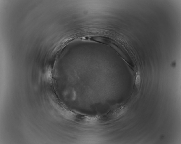 X0000116100143200912071308