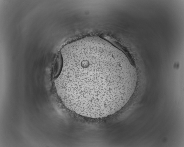 X0000116100144200912071308