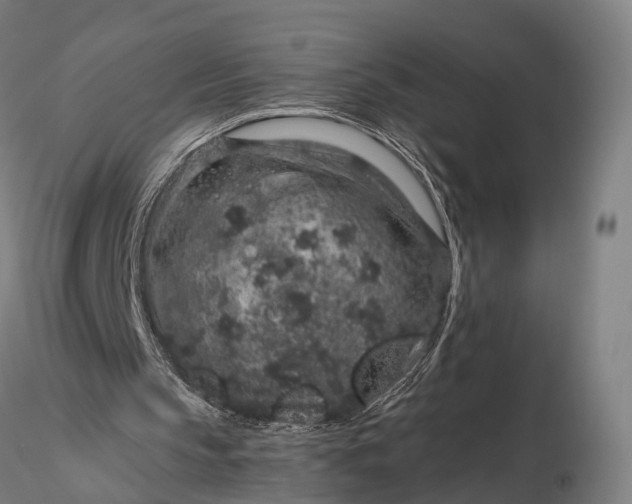 X0000116100145200912071308