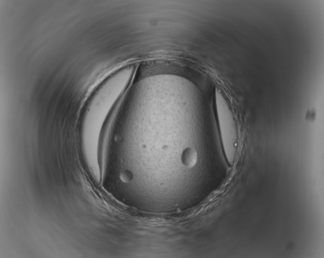 X0000116100146200912071308