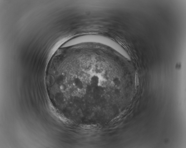 X0000116100147200912071308