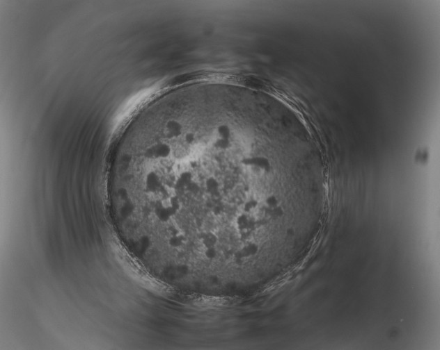 X0000116100149200912071308