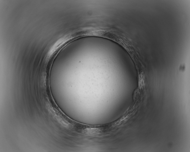 X0000116100150200912071308