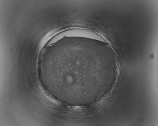 X0000116100151200912071308