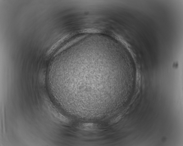 X0000116100153200912071308