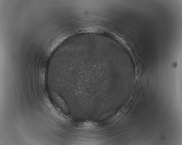 X0000116100154200912071308