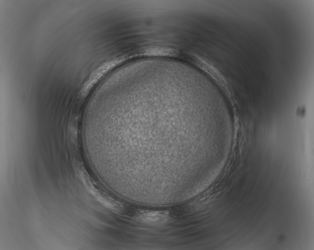 X0000116100155200912071308