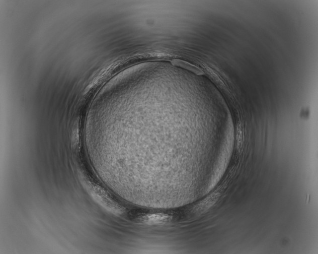 X0000116100158200912071308