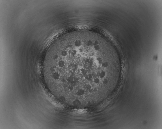 X0000116100161200912071308