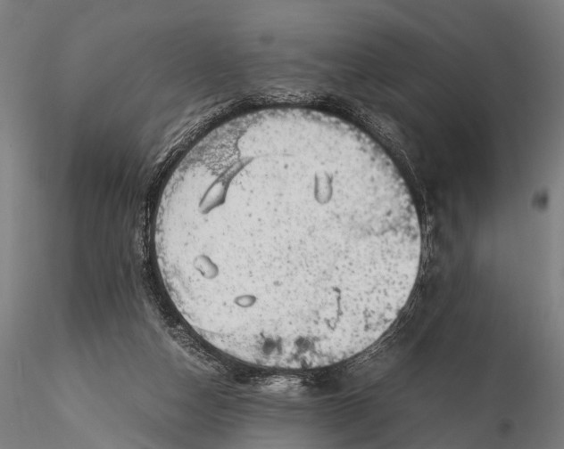 X0000116100162200912071308