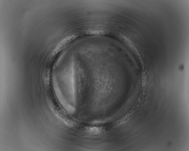 X0000116100163200912071308