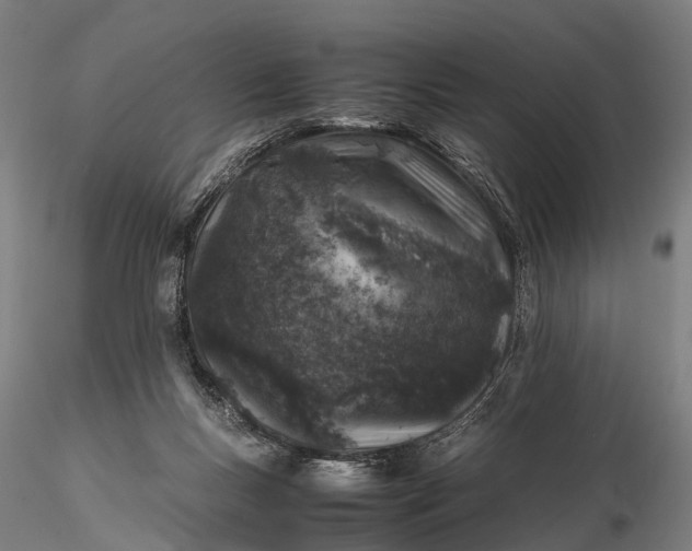 X0000116100167200912071308