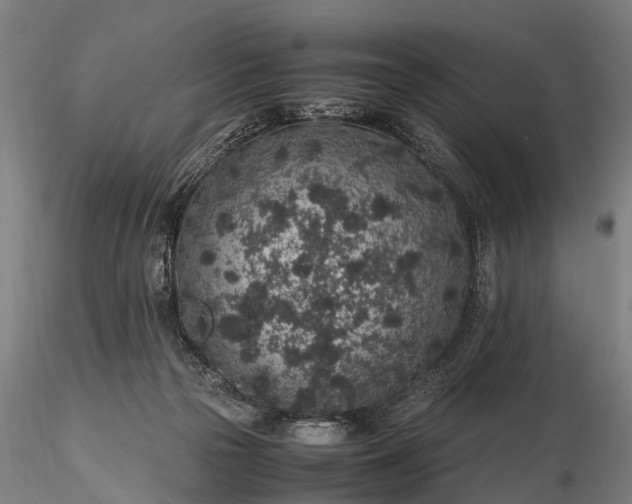 X0000116100169200912071308