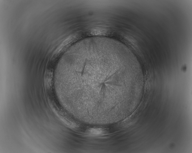 X0000116100171200912071308