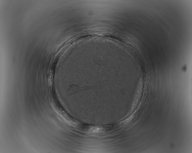 X0000116100174200912071308