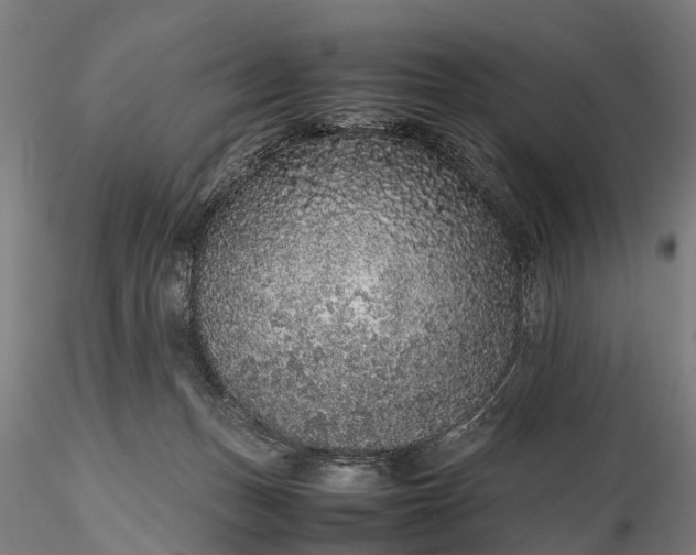 X0000116100175200912071308