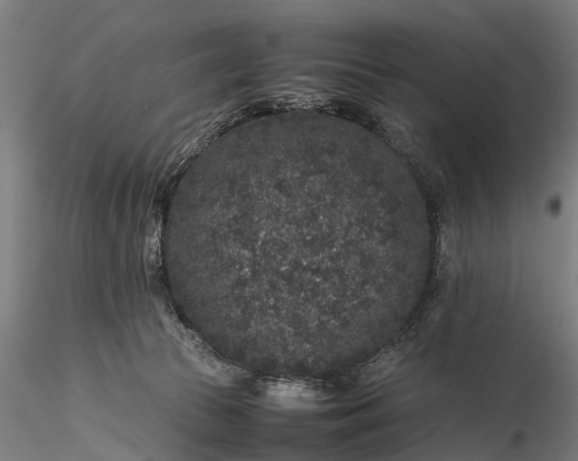 X0000116100177200912071308